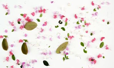 2022年11月24日诞生的婴儿命名,考虑采用“虎宝宝”作为宝宝的昵称