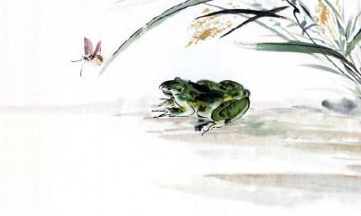 在2019年,属狗的人是否适合怀孕?如果要怀孕的话,哪个月份最为合适呢?