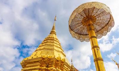 以五行缺木为基础,2021年农历十二月二十七日出生的男孩所取的中文名字