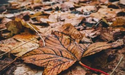 灵性大势 | 冥王星逆转转顺!12星座准备好感受灵魂的升华与洗礼吧