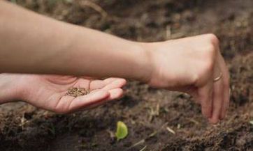 属于虎的人2023年最适宜穿着哪种颜色?属虎者如何选择衣服颜色以获得最佳运势?