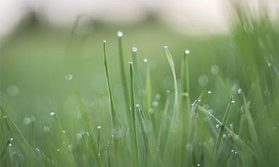 2023年的中国农历二月,到底是不是有30天?而今年,是否存在一个闰二月?