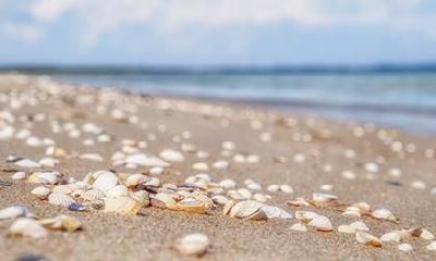 2023年农历二月初三是否被视为一个吉祥的提亲日子?