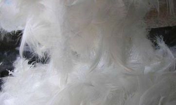 2023年农历三月最吉祥的黄道日子,选择它们迎接好运!