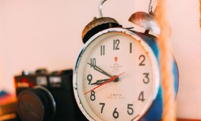 对于属猴人而言,2019年是否是一个适合怀孕的年份?若怀孕,哪个月份最适合?