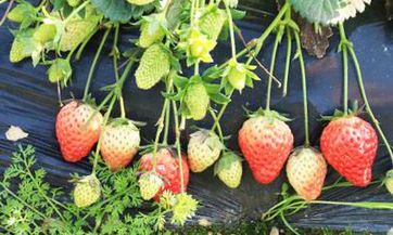 梦中再梦, 多层梦境的预示及解释 - 探寻梦境的隐藏信息