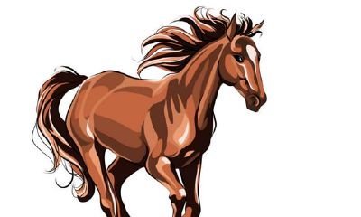 靠这几个时辰降生的属马人,必然身负富贵之神,财神总在左右,饱尝一生无忧的美好生活