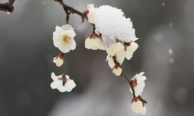 摩羯座女子的2022姻缘运势逐渐上升,吸引更多爱情桃花的到来!