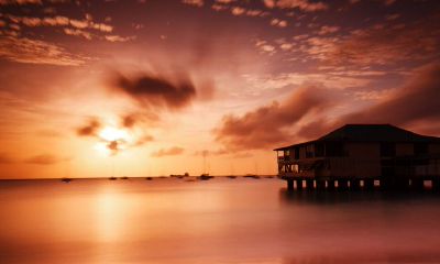 2019年是属猴人是否适宜结婚的年份?什么月份最适合属猴人结婚呢?