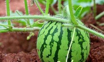 2023年3月份哪一天购房最为适宜?探讨2023年3月房市趋势对购房者是否有利