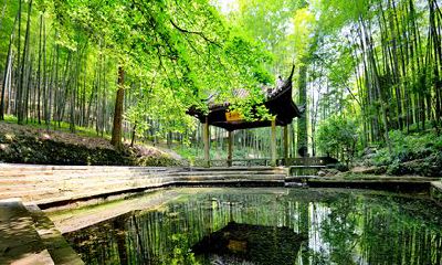 2022年水瓶座的运势爆棚,对于爱情持续保持高度重视!