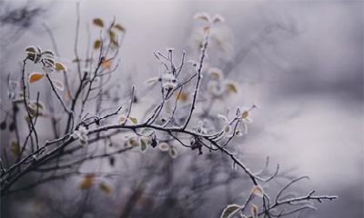 2023年农历正月二十二是否适合进行装修动土?放心进行装修动土是否可行?