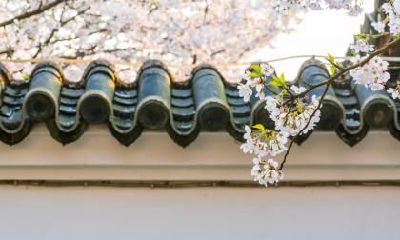 立春节气即将来临,2023年该节气的具体时间是什么呢?同时,您也想了解一些与立春有关的谚语吗?