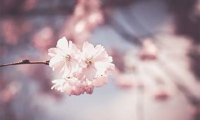 2023年农历正月二十六,是否适宜进行装修动土工作?