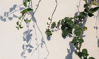 2022年壬寅年腊月十九的习俗和禁忌都有哪些?让我们来了解一下!