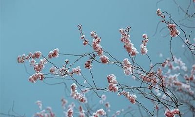 2023年农历正月初六出行是否吉利?如何查询当日出行的宜时吉时?