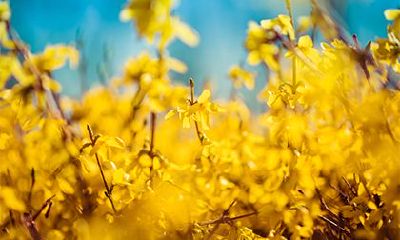 2023年农历正月初八的黄历:这一天适合出行吗?会是个吉利的日子吗?