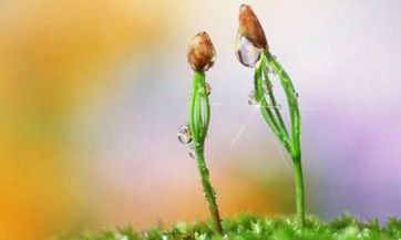 如何应对并消除不吉利的梦境?应对凶梦的口诀是什么?