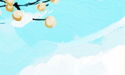 2016年12月,受浮图塔星座影响之下的生肖虎,运势如何?