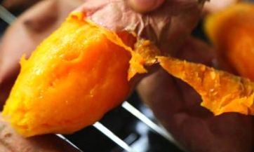 公墓风水与后代命运的关系:探究公墓对子女的影响