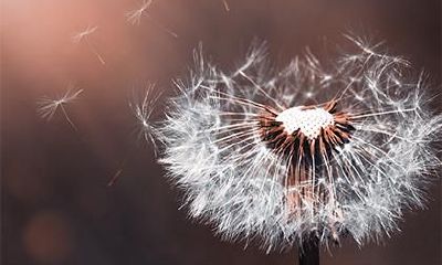 2022年农历腊月二十日的传统习俗和禁忌有哪些?这一日应当注意忌讳哪些行为?