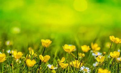 在2023年的农历正月初十出行是否适合?或是选择大年初十出门更合适?