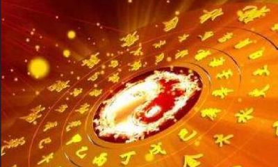 通过精湛的厨艺走向成功:食神生财,柔情似水,日主得力,名利双收