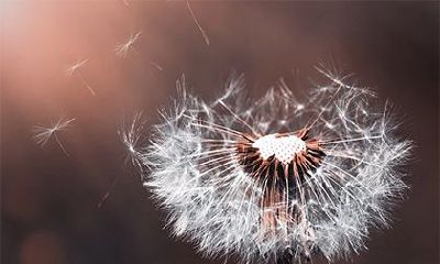 2023年农历正月十一是否适合出行?掌握这天的黄历信息有助于您做出明智的决策!