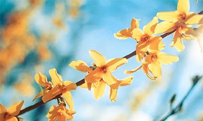 2023年癸卯年正月十二,根据黄历查询,是否适宜出行呢?