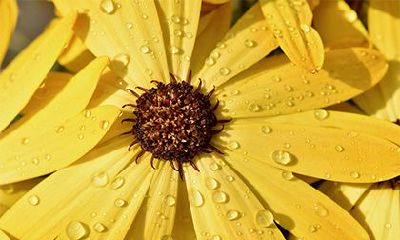 2023年农历正月十三出行是否是符合黄历的黄道吉日,值得考虑?