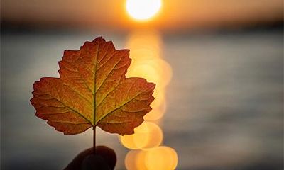 在2023年的正月十三,人们要庆祝哪个节日?这个特殊的日子有哪些习俗和活动?