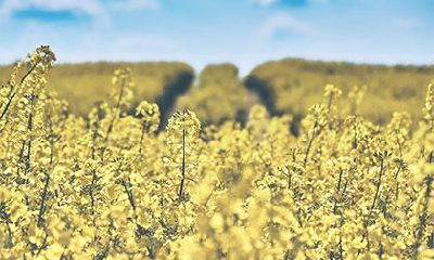 在农历正月,我们需要留意哪些事情?春节期间有哪些需要遵守的民俗禁忌?