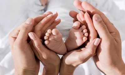 经典农历属马人决策:2019年是否恰逢受孕黄金时期?何时开始怀孕最为宜?