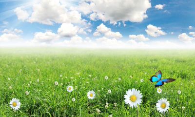 根据命理学,针对属马的宝宝,哪些时辰出生可获得最好的命运呢?