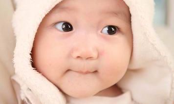 寻求帮助?寻找万能的温姓女孩名字,全方位解析!