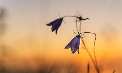 2023年黄历上的癸卯年正月二十日适合出行吗?这一天是一个吉利的日期吗?