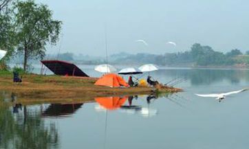 2022感恩节到来,送什么礼物最好呢?请看超实用的礼物推荐