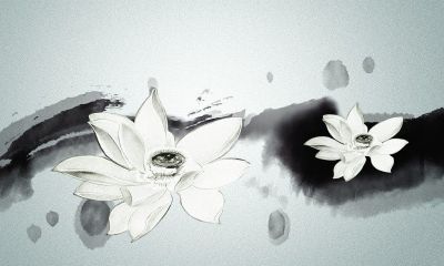 2019年属马人适合在3月结婚吗?有哪些最佳3月结婚吉日?