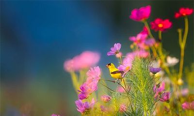 2023年中国农历正月将拥有30天吗?是大月,还是小月?