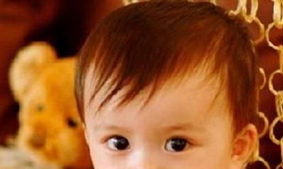 详细介绍各地不同语系中宝宝的昵称及含义的完整指南