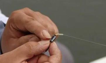 2023年老黄历揭秘!喜神最佳落脚点,揭示2023年最旺的方位!