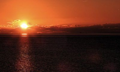 2019年属马的人适不适合在哪个月份结婚?结婚是否会给属马人带来好运?