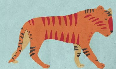 2020年度生肖「虎」的全面运势预测和分析