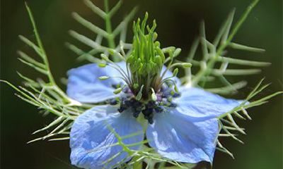 探究农历正月的禁忌与春节所具备的忌讳