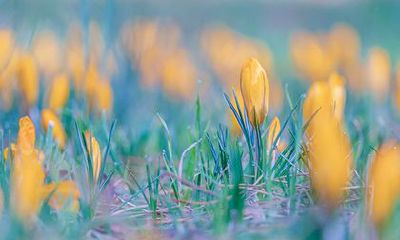 即将到来的2022年7月24日是否是一个幸运的日子,符合黄道吉日的标准吗?