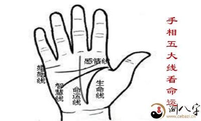 掌纹五大线纹解密:探究天纹、人纹和地纹如何反映你的运势!