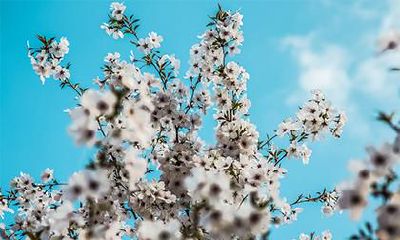 2023年的一月份里出生的人是什么星座?他们的特征是什么?