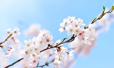 请问2023年正月十一日对应公历的日期是多少?是哪个月?哪一天?