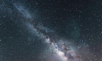 2023年出生并属于农历二月十二的兔子宝宝,应该属于哪个星座?