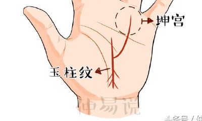 掌纹的秘密:发现这三种掌纹,你也可以轻松遇到贵人相助,实现事业成功!快来看看你是否具备这些掌纹!
